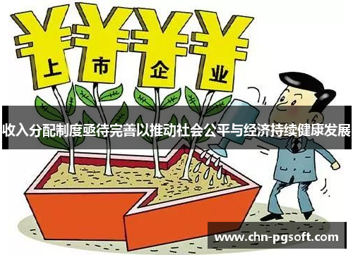 收入分配制度亟待完善以推动社会公平与经济持续健康发展
