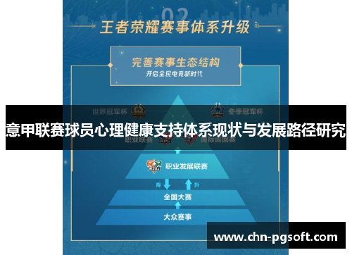 意甲联赛球员心理健康支持体系现状与发展路径研究