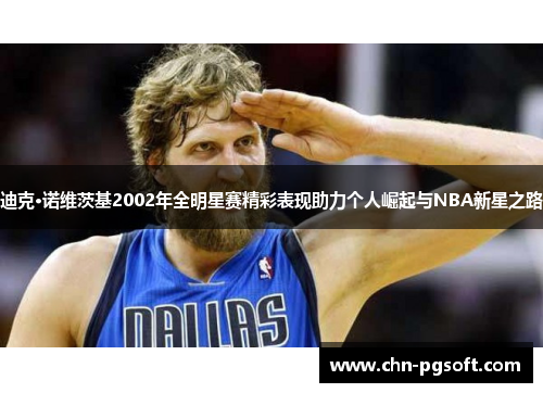 迪克·诺维茨基2002年全明星赛精彩表现助力个人崛起与NBA新星之路
