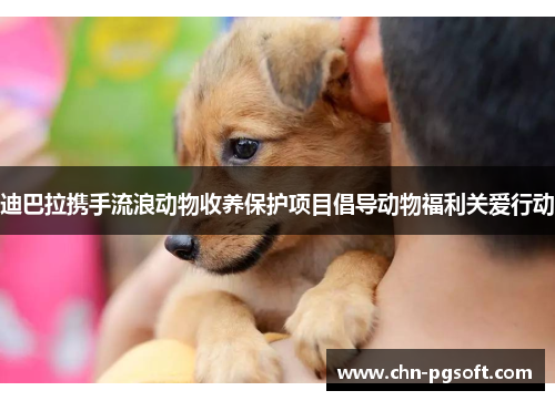 迪巴拉携手流浪动物收养保护项目倡导动物福利关爱行动
