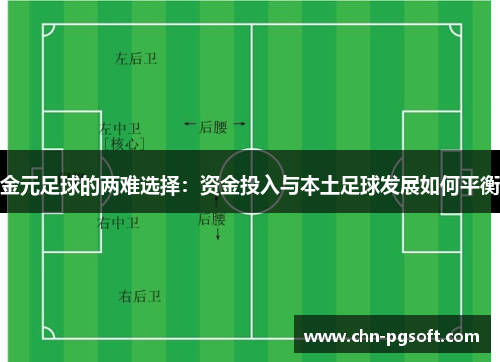 金元足球的两难选择：资金投入与本土足球发展如何平衡