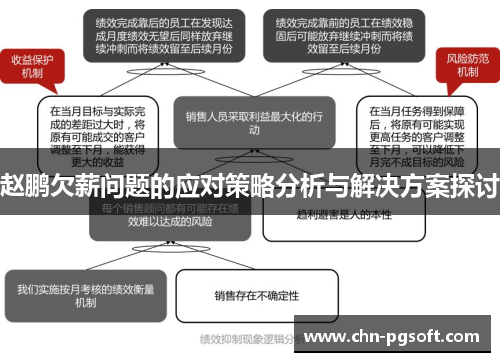 赵鹏欠薪问题的应对策略分析与解决方案探讨