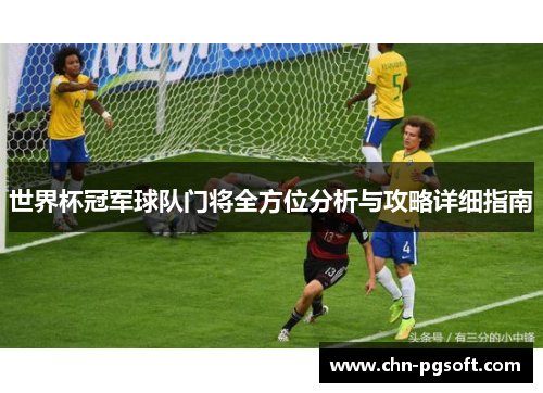 世界杯冠军球队门将全方位分析与攻略详细指南