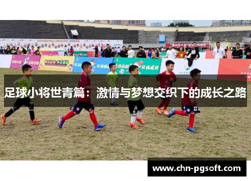 足球小将世青篇：激情与梦想交织下的成长之路