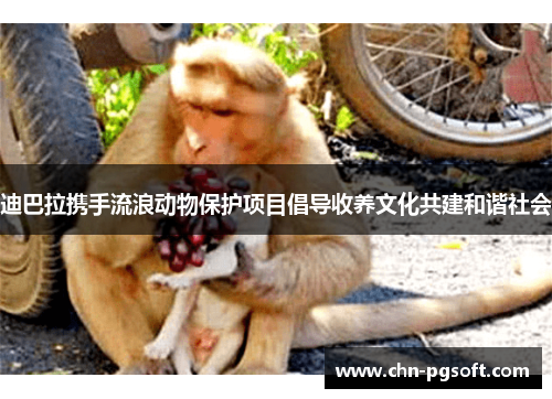 迪巴拉携手流浪动物保护项目倡导收养文化共建和谐社会 迪巴拉携手流浪动物保护项目倡导收养文化共建和谐社会