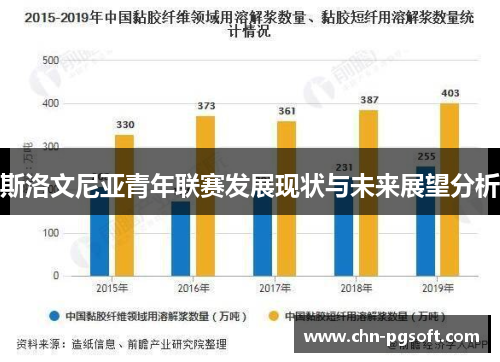 斯洛文尼亚青年联赛发展现状与未来展望分析