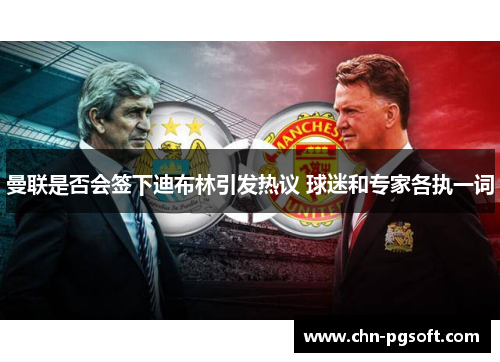 曼联是否会签下迪布林引发热议 球迷和专家各执一词