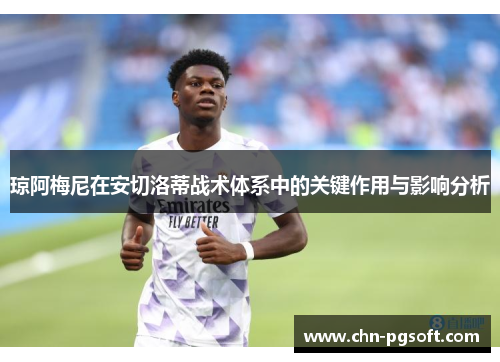 琼阿梅尼在安切洛蒂战术体系中的关键作用与影响分析