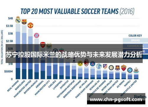 苏宁控股国际米兰的战略优势与未来发展潜力分析