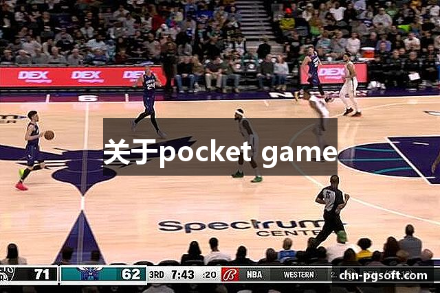 关于pocket game